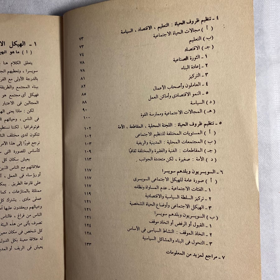 الهيكل الاجتماعى السويسرى - رينيه ليفى D15