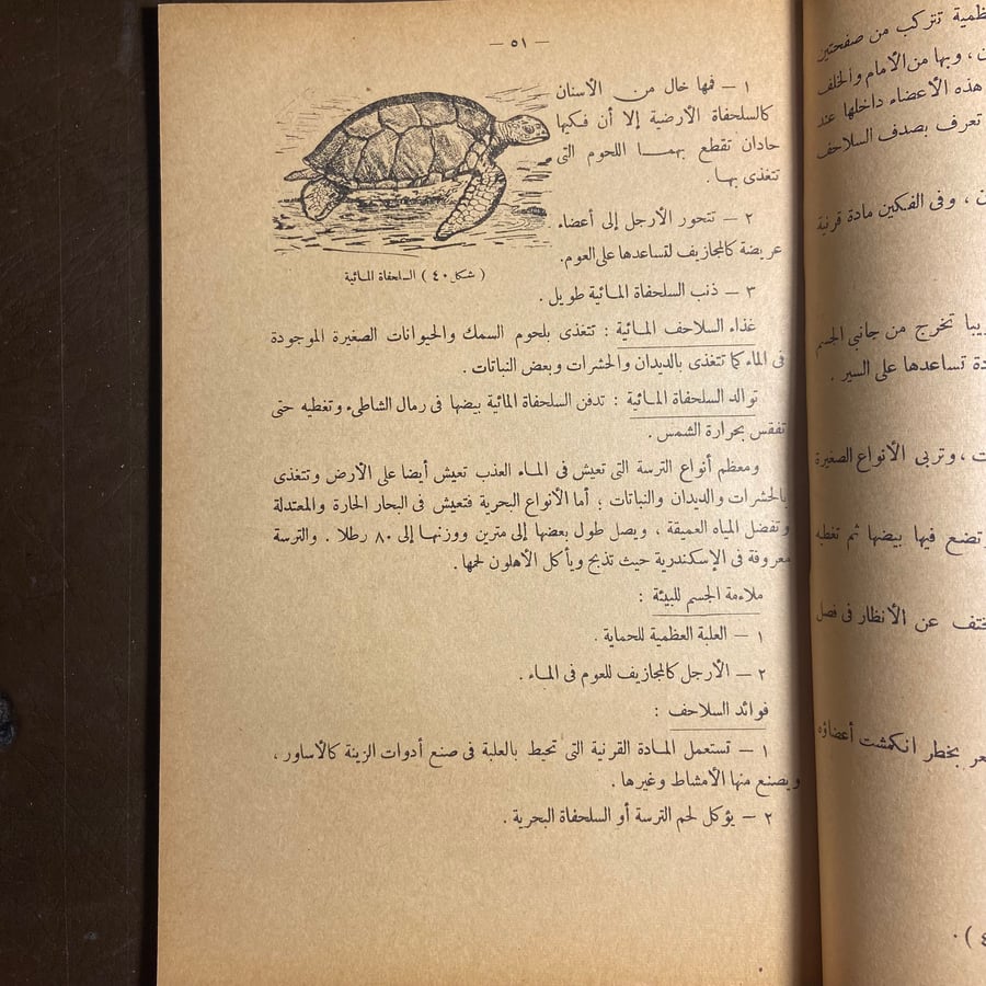 الجديد في مبادئ العلوم والصحة-محمد فهمي-C11