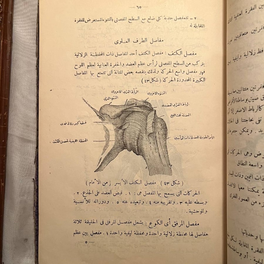 شراء كتاب المبادئ في بناء جسم الإنسان ووظائف الأعضاء شفيق عبد الملك نس