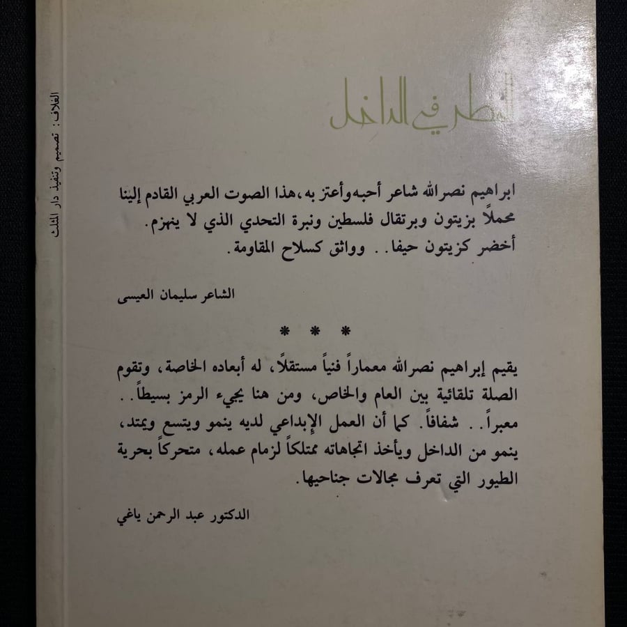 المطر في الداخل- ابراهيم نصر الدين