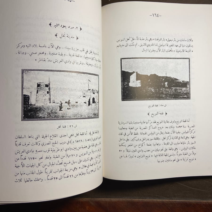 دراسات تاريخ العرب الحديث_عمر عبدالعزيز_L10