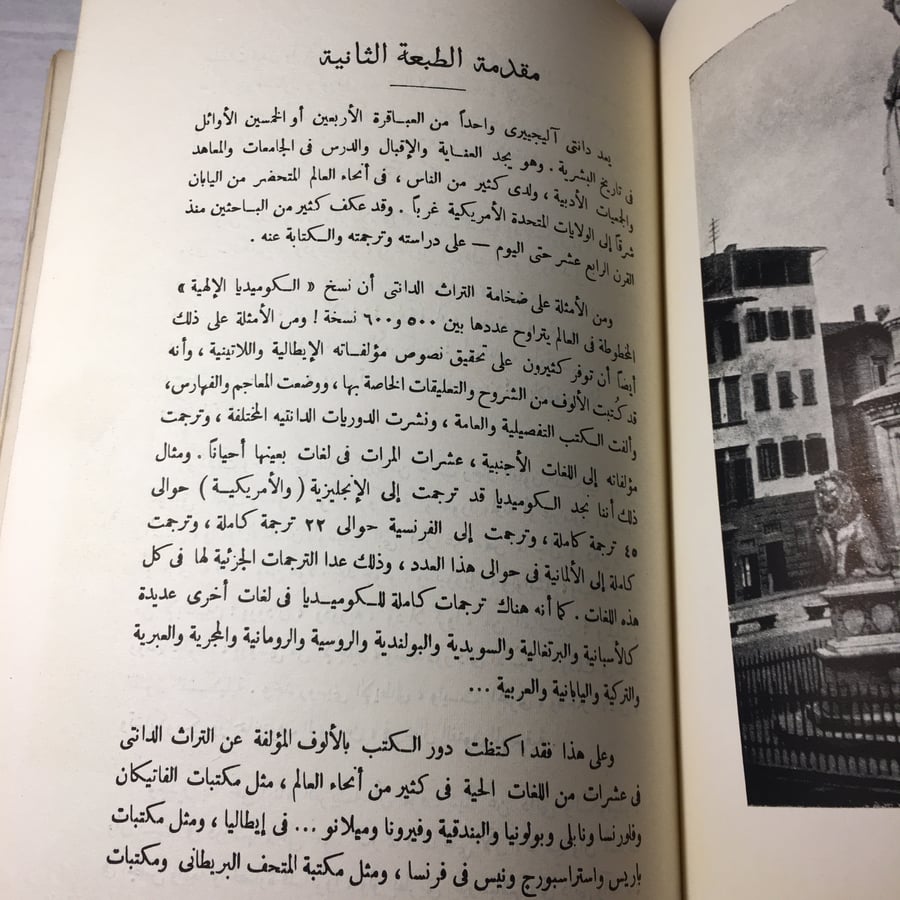 دانتي اليجري_بقلم طه فوزي L12