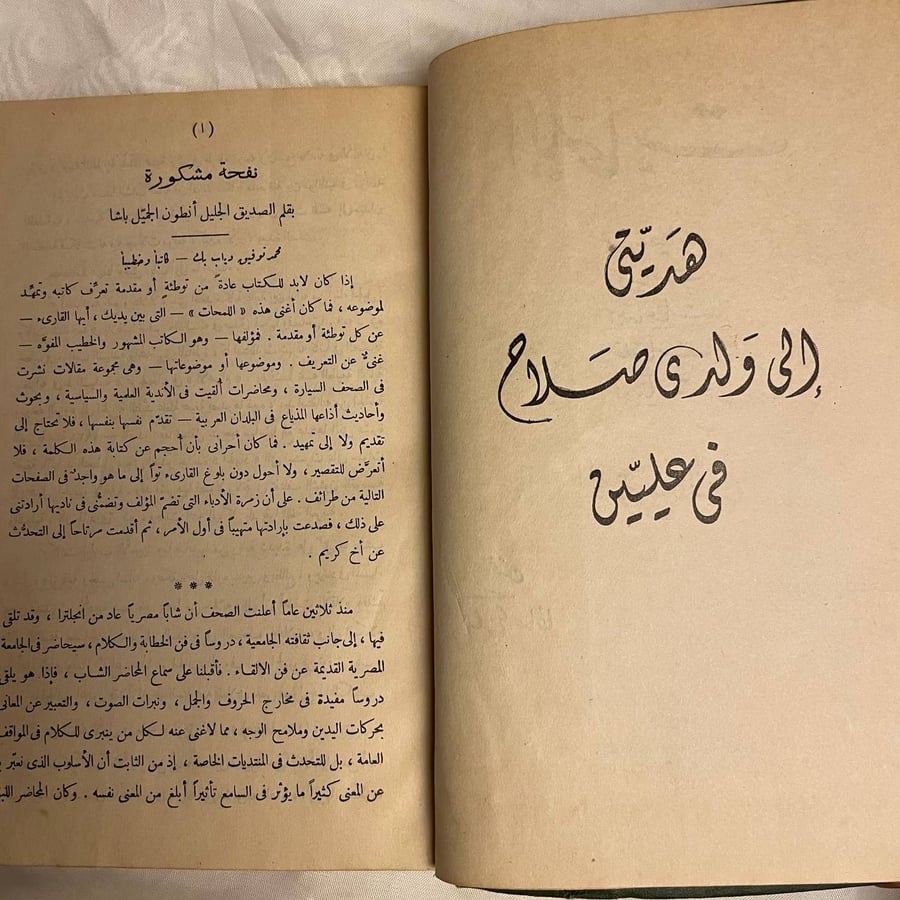 اللمحات - محمد توفيق دياب بك