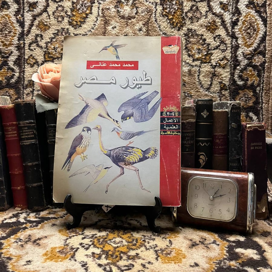 شراء كتاب طيور مصر دليل علمي شامل عن الطيور