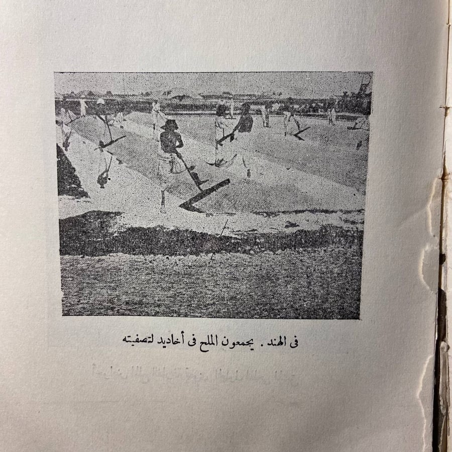 خامات من البحر - إدوارد فرانكلند