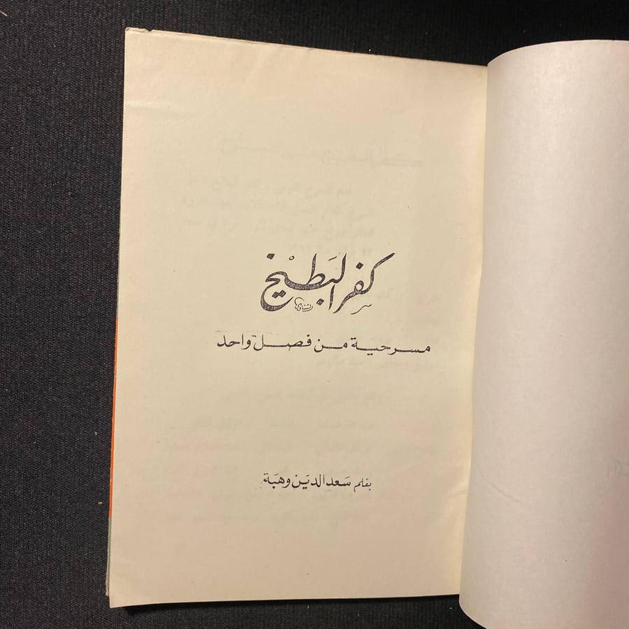 كفر البطيخ -  سعد الدين وهبة