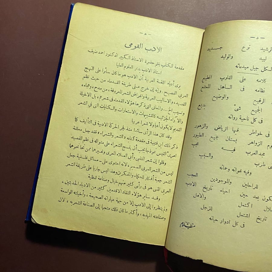 تاريخ أدب الشعب - حسين رياض