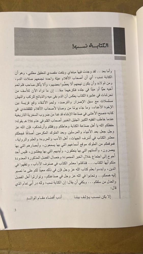 مصر يا ولاد _ سناء البيشي