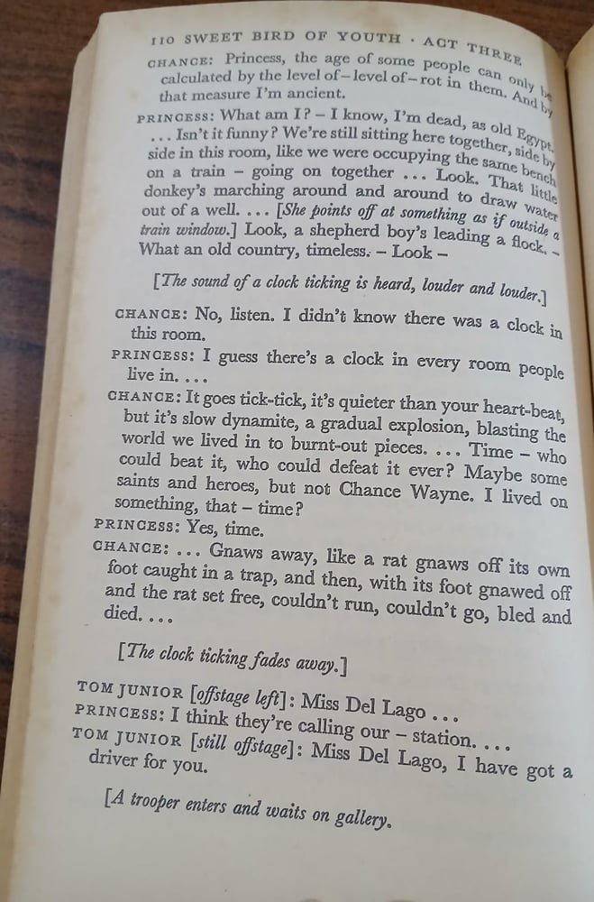 sweet bird of youth a streetcar named desire the glass menagerie(P12)