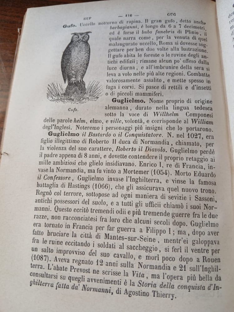 dizionario di cognizioni utili(E13)