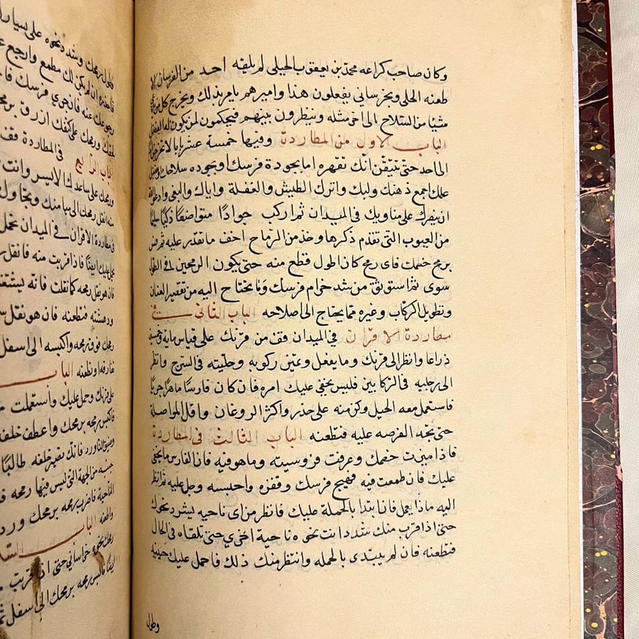 المخزون في لارباب الفنون في الفروسية ولعب الرمح وبنودها-مخطوط