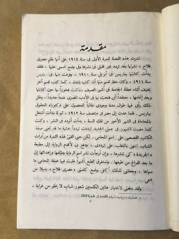 زينب - محمد حسين هيكل - Hw17