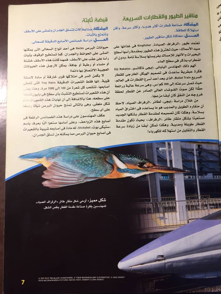 عودة الدينصورات - مجلة ناشونال جيوغرافيك-MS