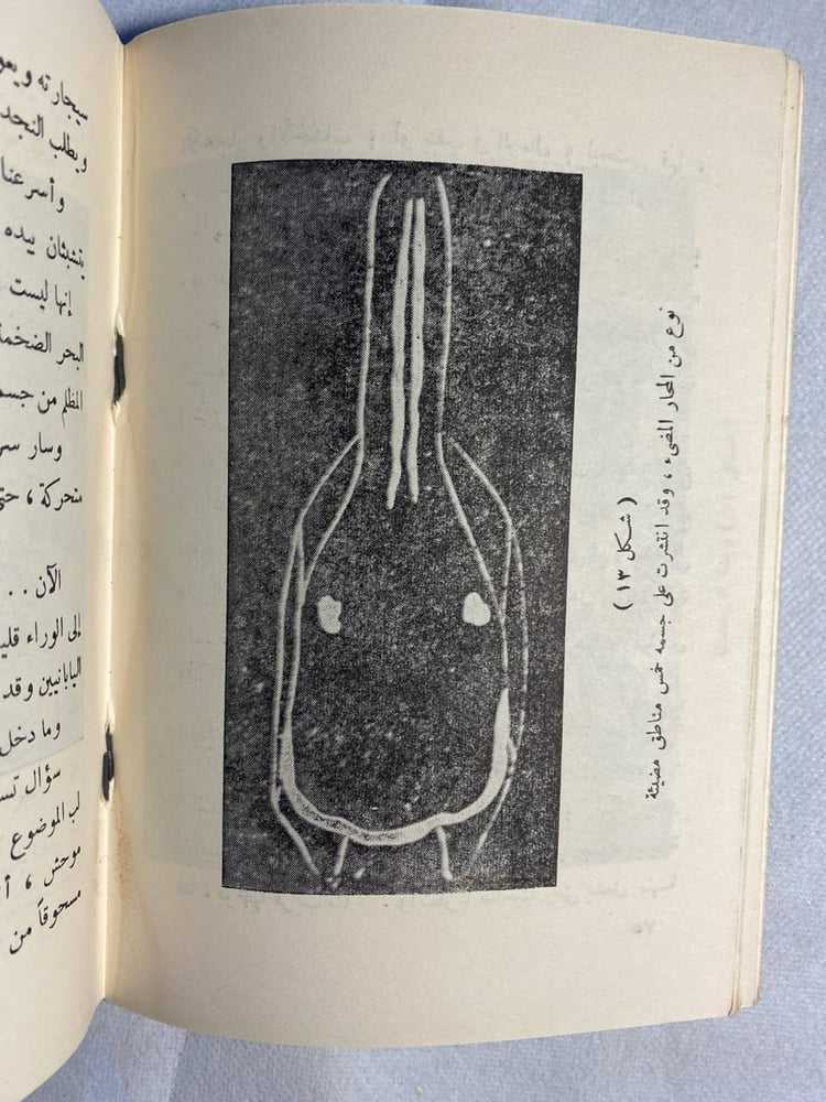 اسرار المخلوقات المضيئة - عبدالمحسن صالح