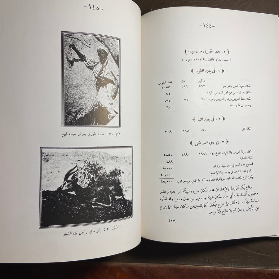 دراسات تاريخ العرب الحديث_عمر عبدالعزيز_L10