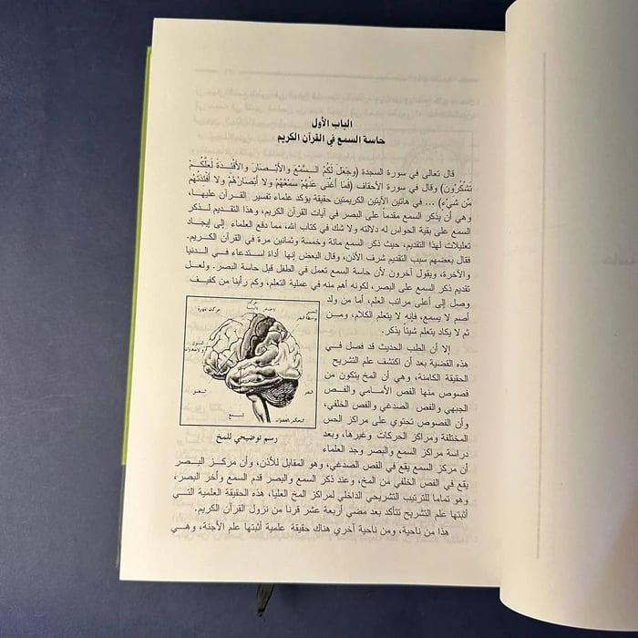 الاعاقة السمعية - هلا السعيد