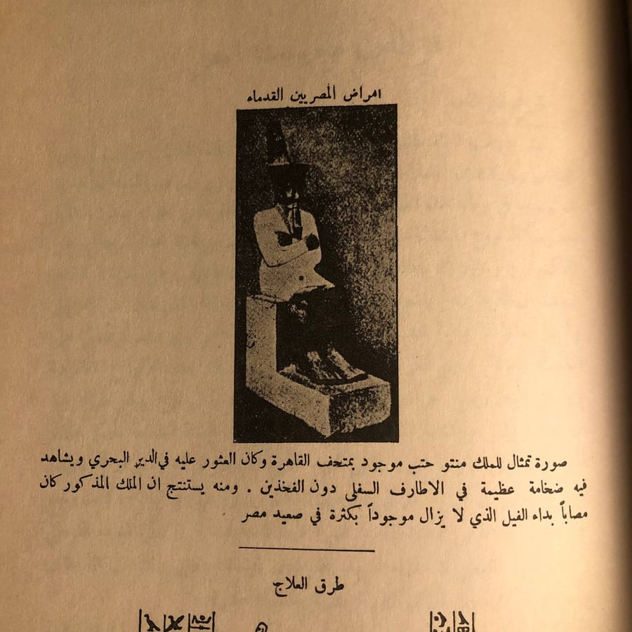 شراء كتاب الطب المصري القديم لحسن كمال لاكتشاف أسرار الطب