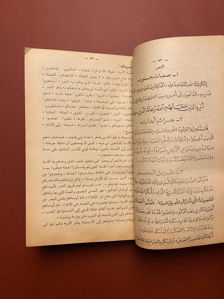 الأضواء في اللغة العربية - أحمد محمد صقر