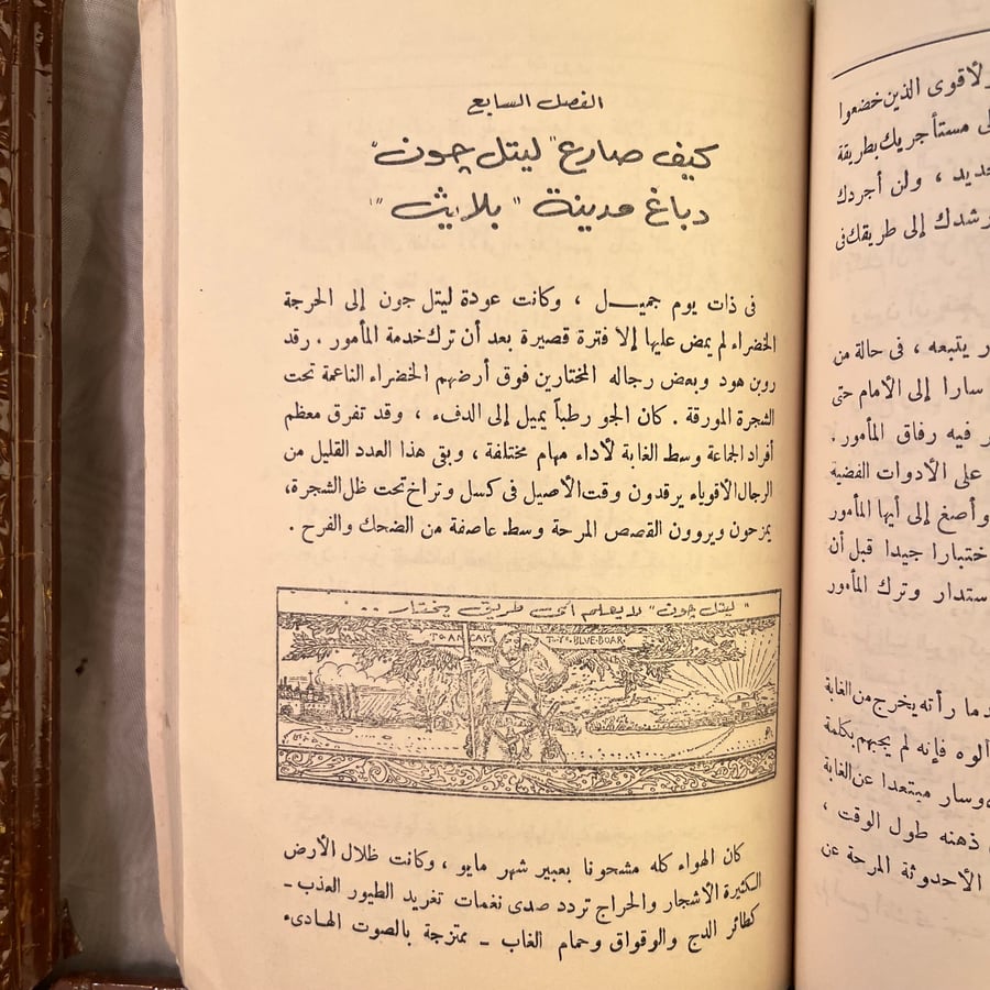 مغامرات روبن هود_هوارد پايل (L1)