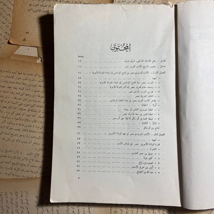 الادب العربى فى مصر -محمود مصطفى -D15