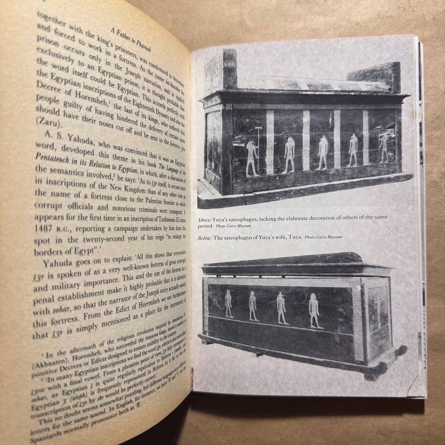 Stranger in the valley of the kings - Ahmed Osman - P20
