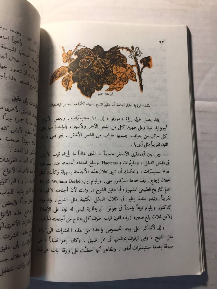 الفراشات وأبو دقيق -روبرت لمن(O5)