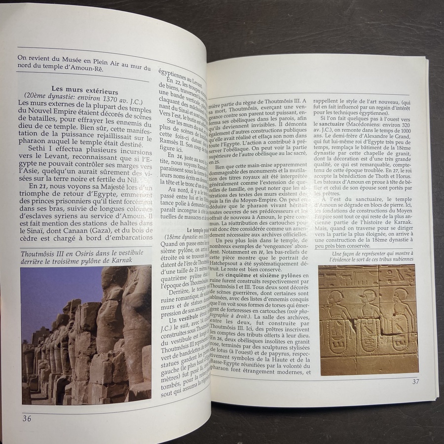 LOUXOR_GUDE DES TEMPLES&TOMBEAUX DE THEBES