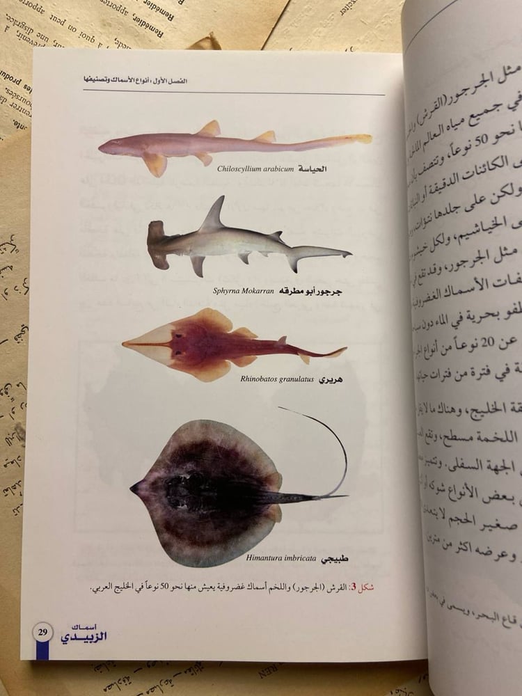 أسماك الزبيدي -سليمان محمد المطر