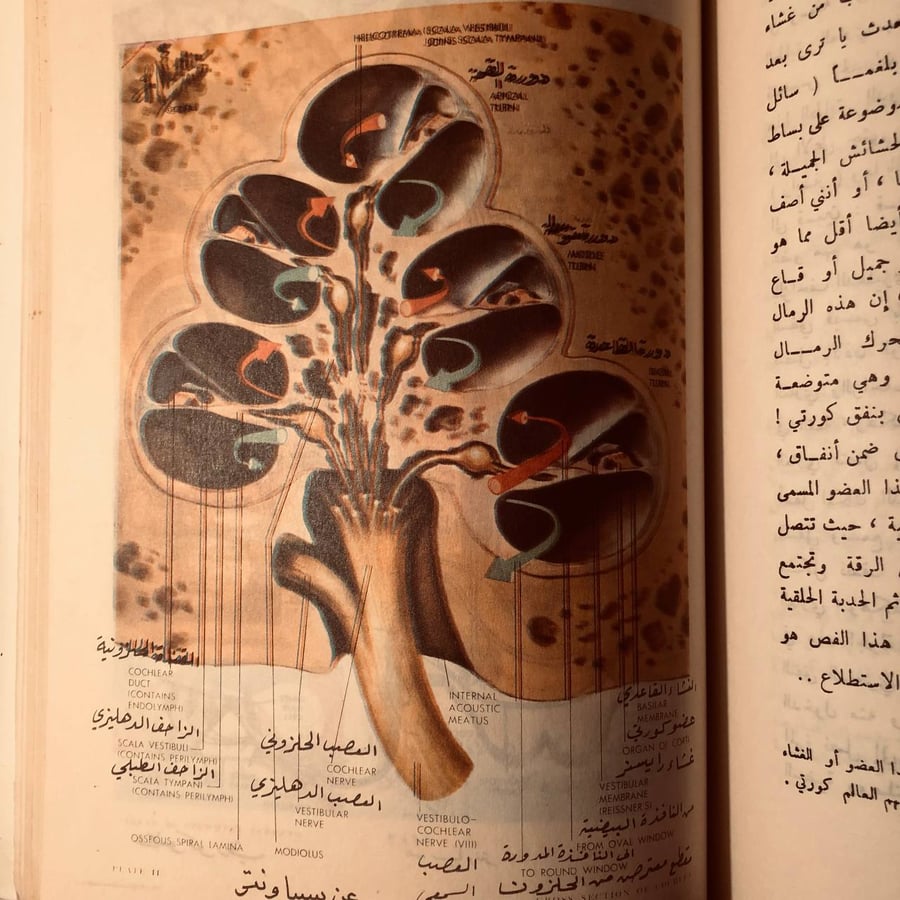 الطب محراب للايمان الجزء الاول _ خالص جلبي