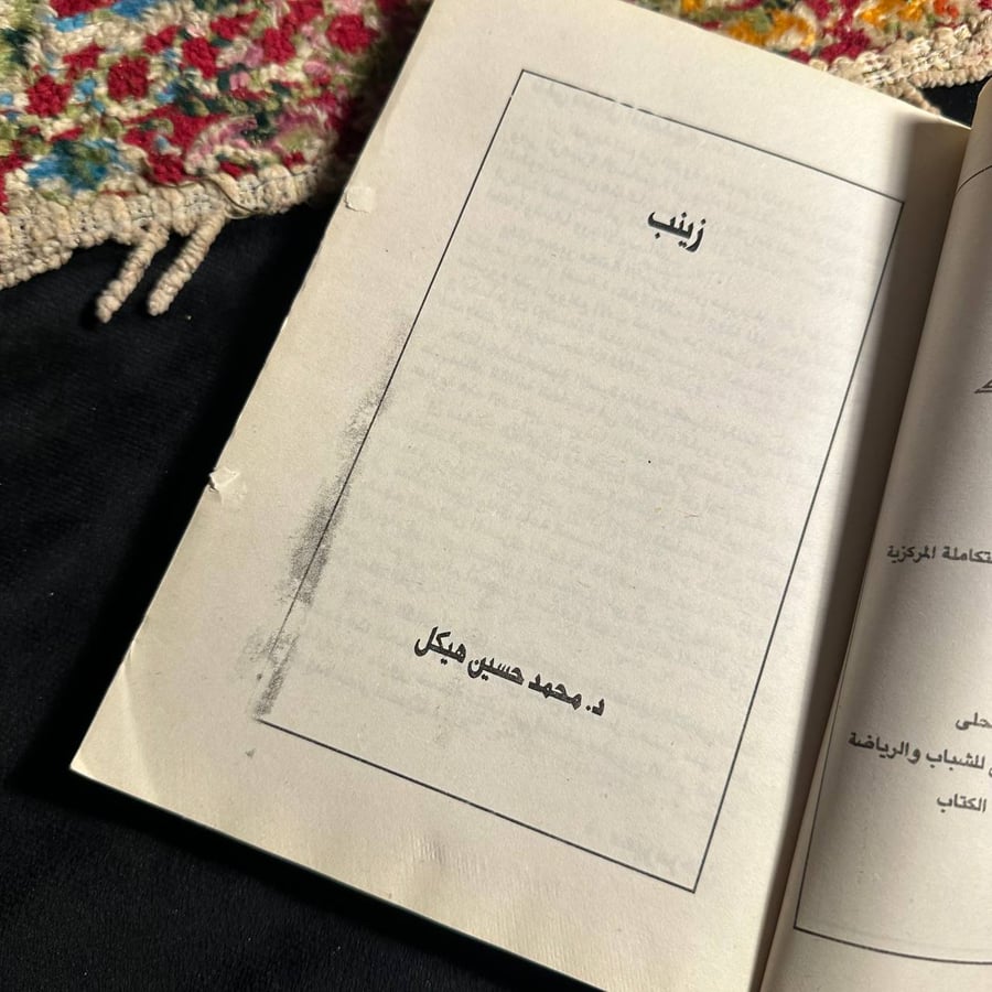 زينب _ محمد حسين