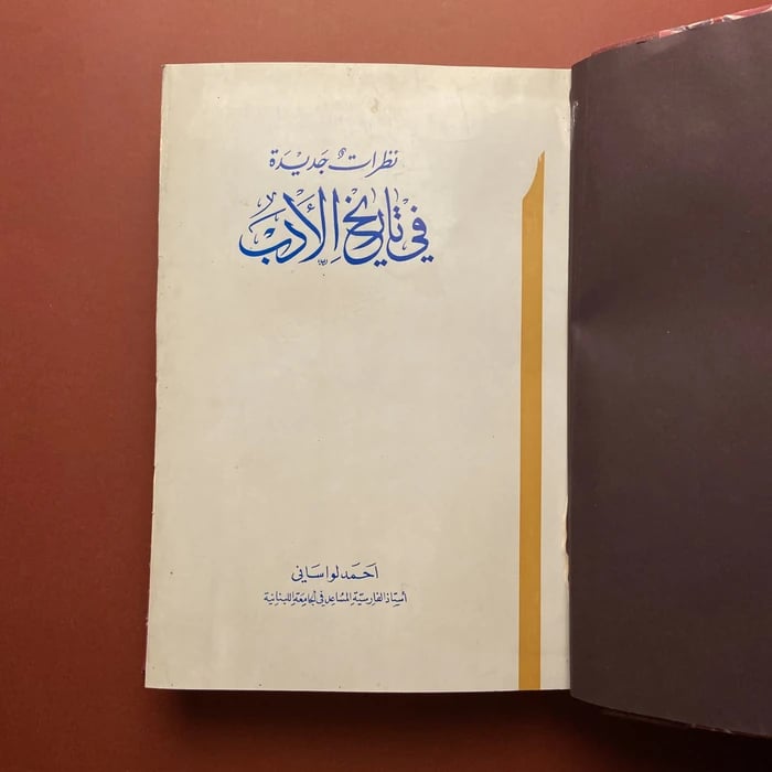 كتاب نظرات جديدة في تاريخ الأدب-احمد لواساني