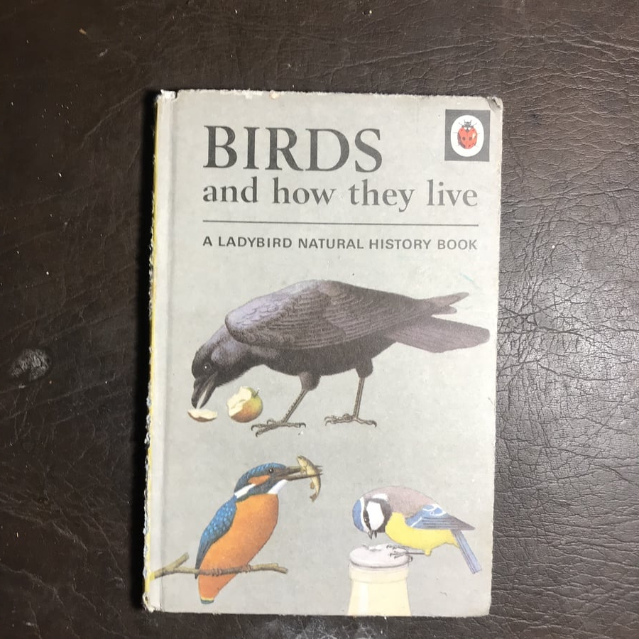 Birds and how they live#6474 (E6)