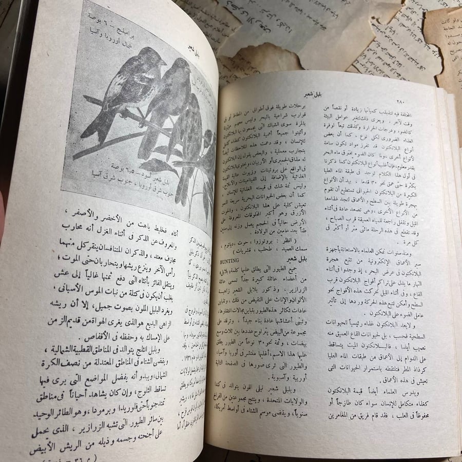 الموسوعة الذهبية (من البحيرات العظمى إلى تاريخ )-O5