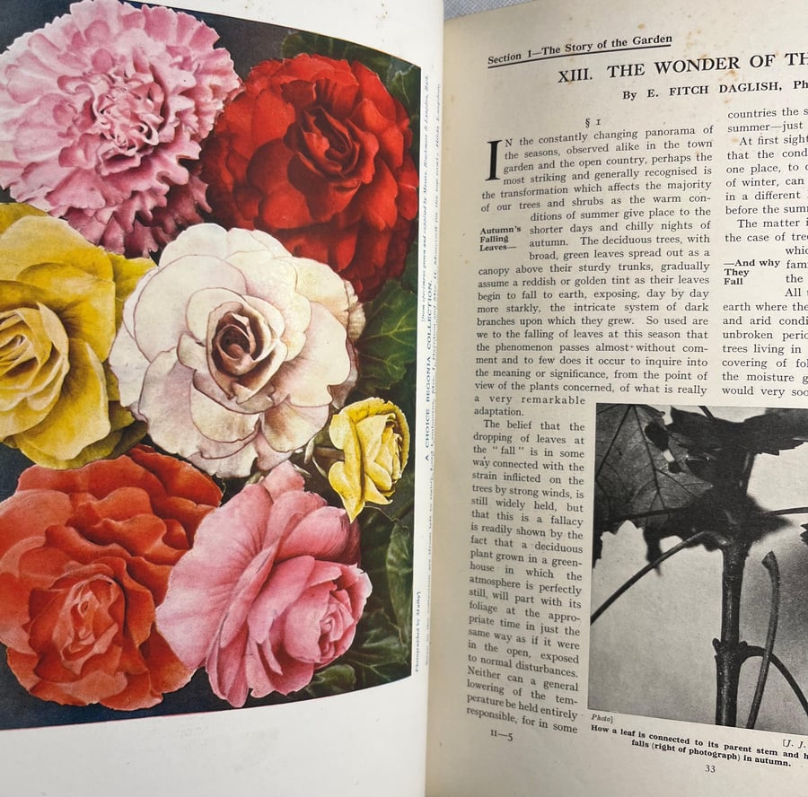 New book of gardenning- VOL .1-2-3  (M1)