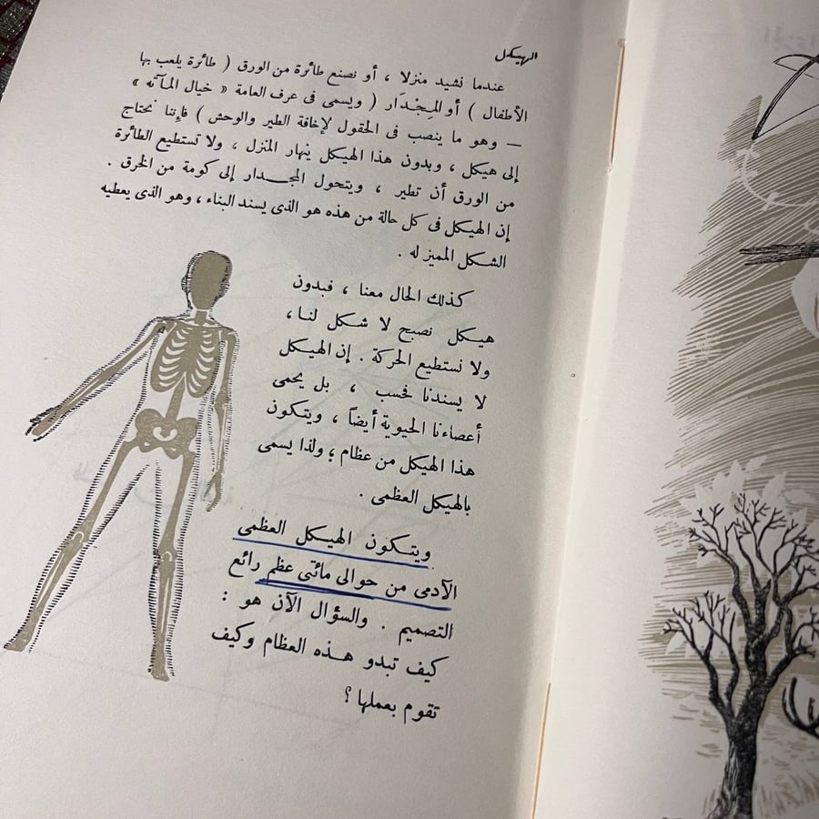 عجائب جسم الإنسان_أنتوني رافييللي