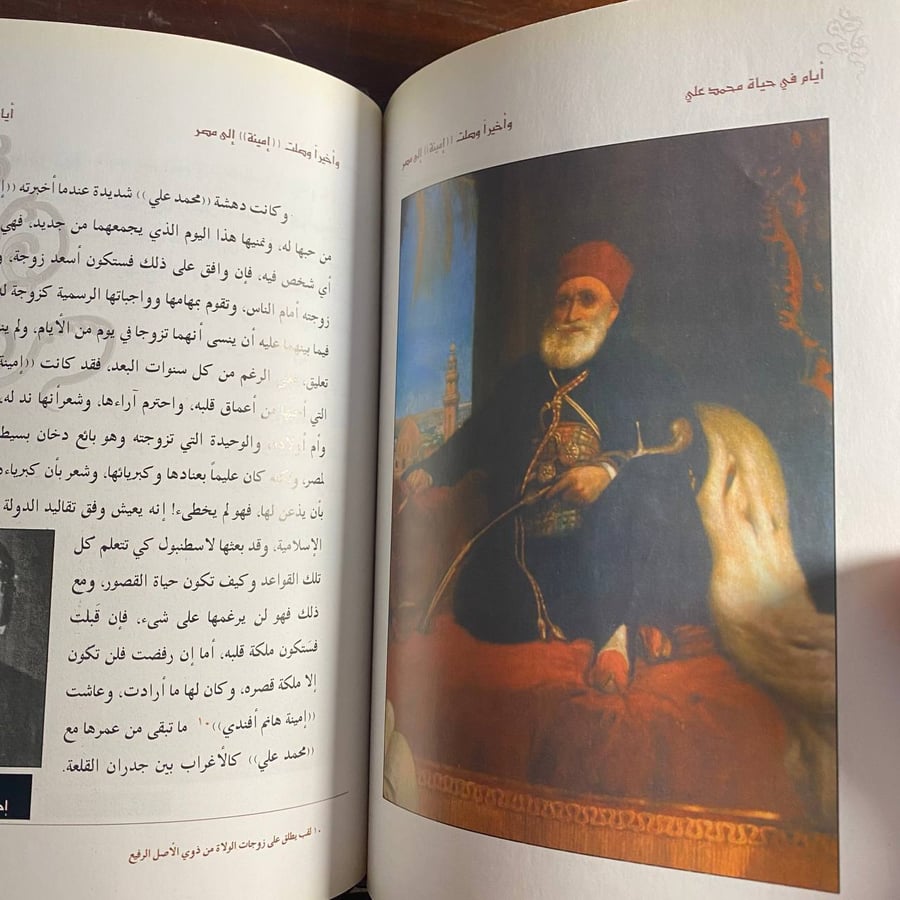 ايام فى حياة محمد علي-امل عفيفي