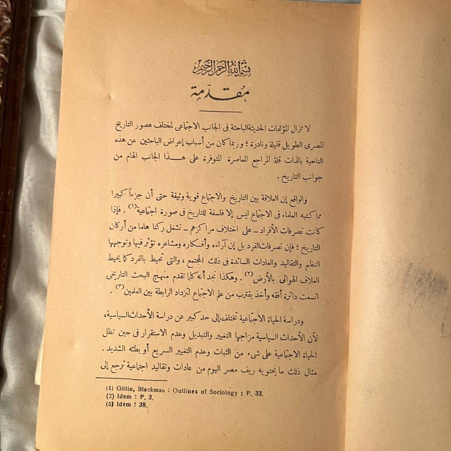 المجتمع المصري في عصر سلاطين المماليك  -سعيد عبدالفتاح