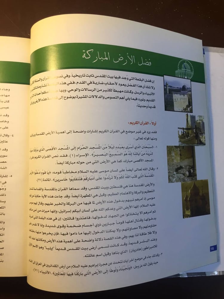 صفحة داخلية أو خريطة تاريخية من كتاب فلسطين التاريخ المصور