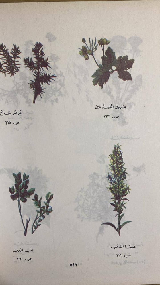 التداوي بالأعشاب- أمين رويحه -HW10