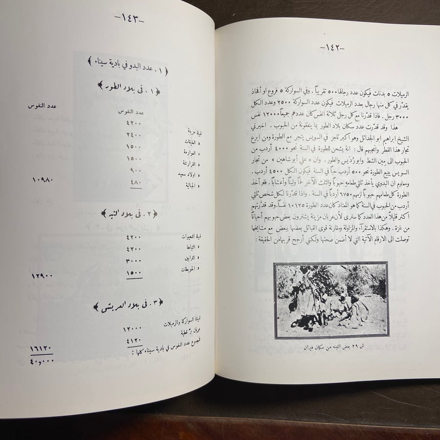 دراسات تاريخ العرب الحديث_عمر عبدالعزيز_L10