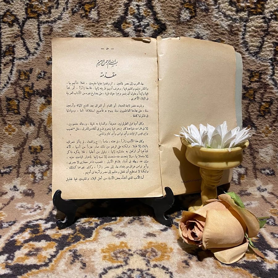 شراء كتاب الادب العربي فى مصر عبدالرزاق ابراهيم حميده مكتبة الانجلو