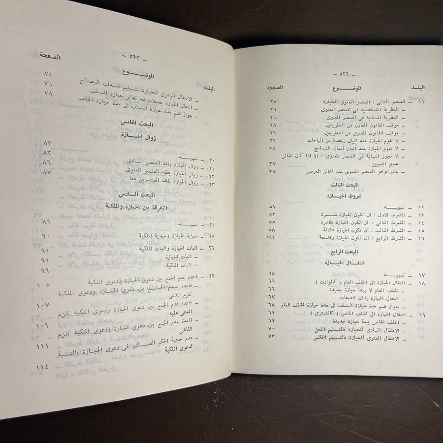 الحيازة-محمد المنجي-C16