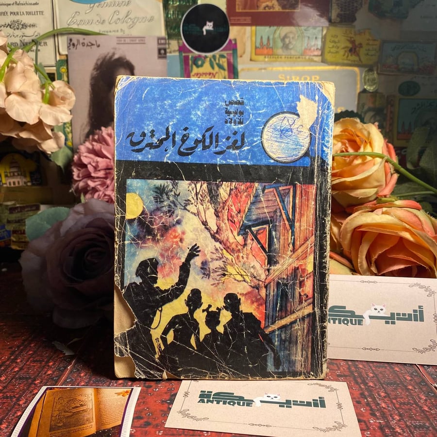 لغز الكوخ المحترق - محمود سالم