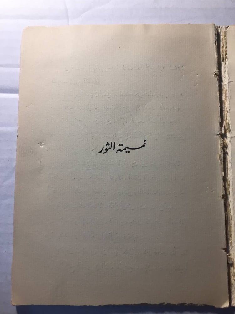 الثور في متحف الخزف - الثور في متحف الخزف