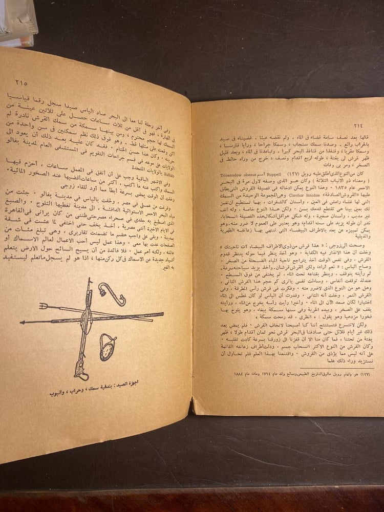 في اعماق المحيطات - اوجيني كلارك(N11)