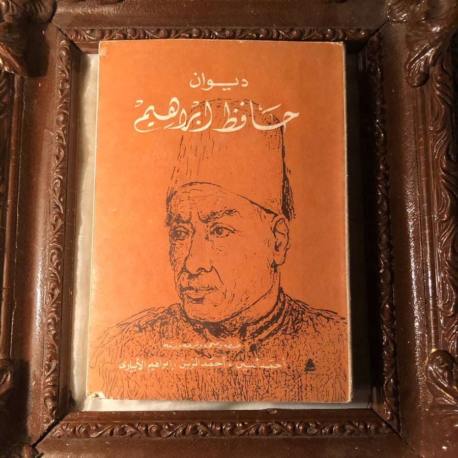 ديوان-حافظ-ابراهيم-حافظ-ابراهيم-الهيئة-المصرية.jpg