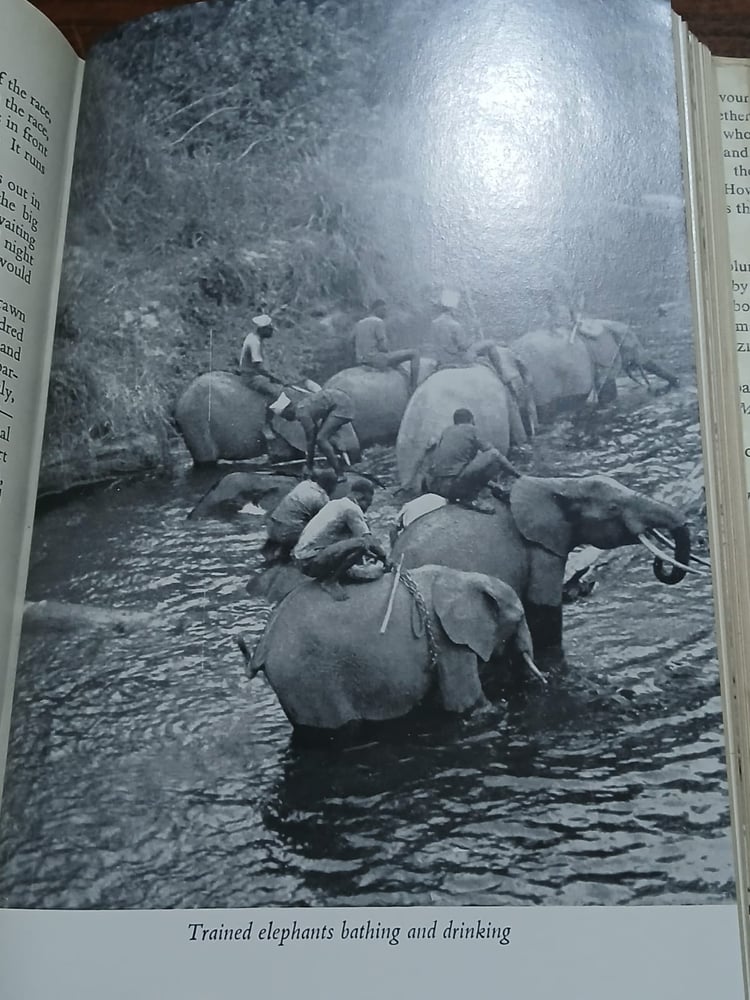 the african giant the story of a journey