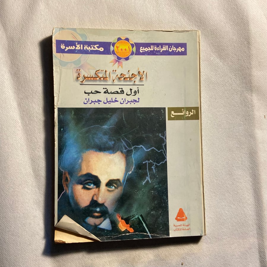 الأجنحة المنكسرة_جبران خليل جبران_  (D13)