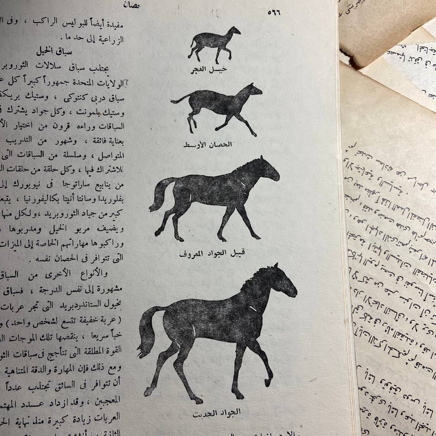 الموسوعة الذهبية (من حصان الى دولة الامارات العربية المتحدة )-O5