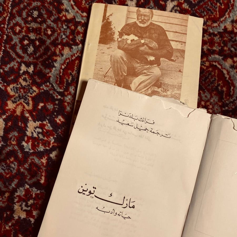 ثنائية عبقريات أدبية